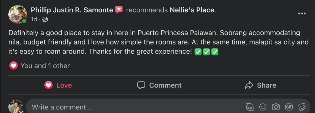 Nellie'S Place Puerto Princesa Exterior foto